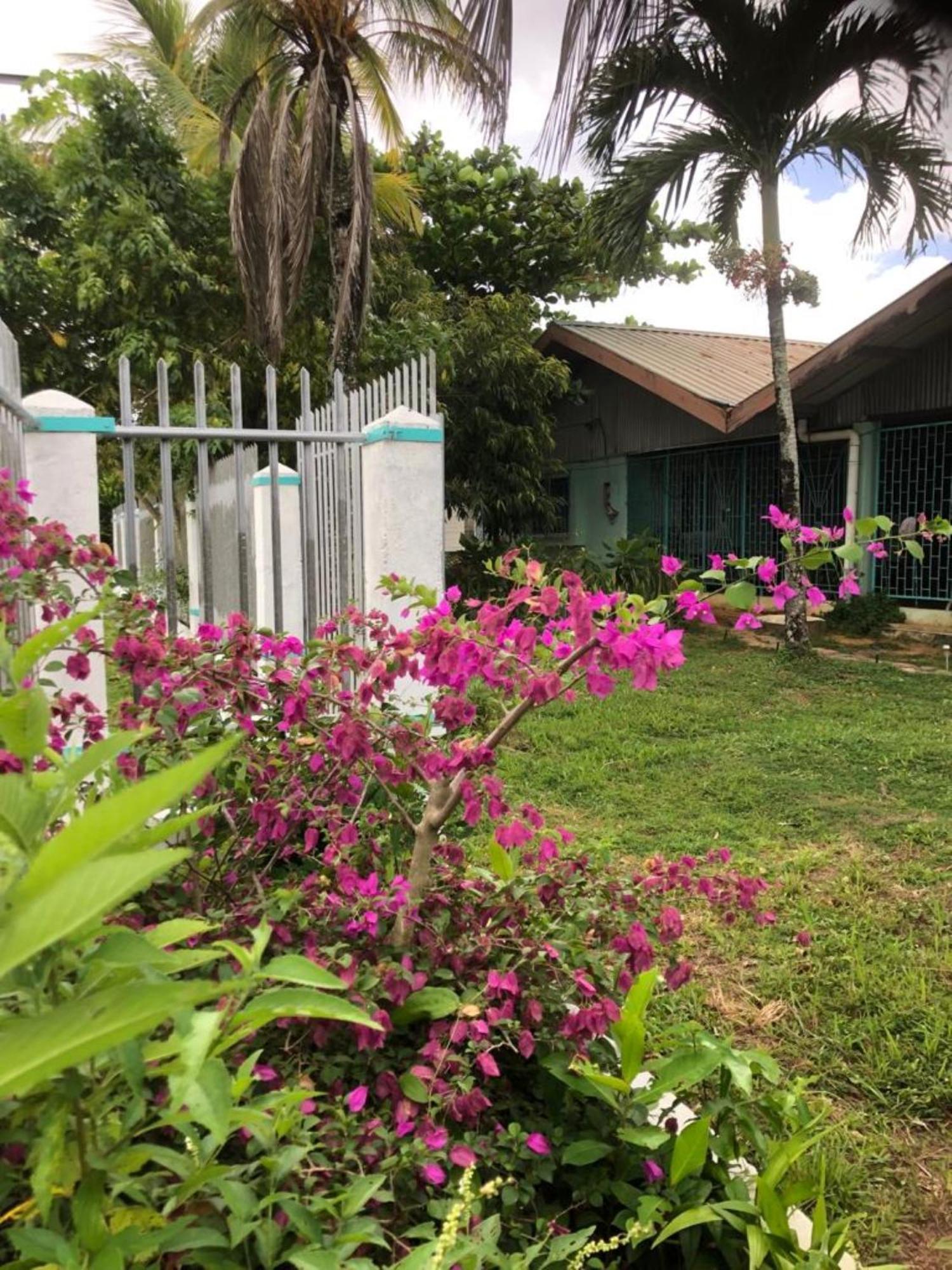 Unu Pikin Guesthouse Paramaribo Eksteriør billede